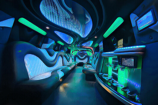 18 Passenger Party Bus 18 Passenger Party Bus